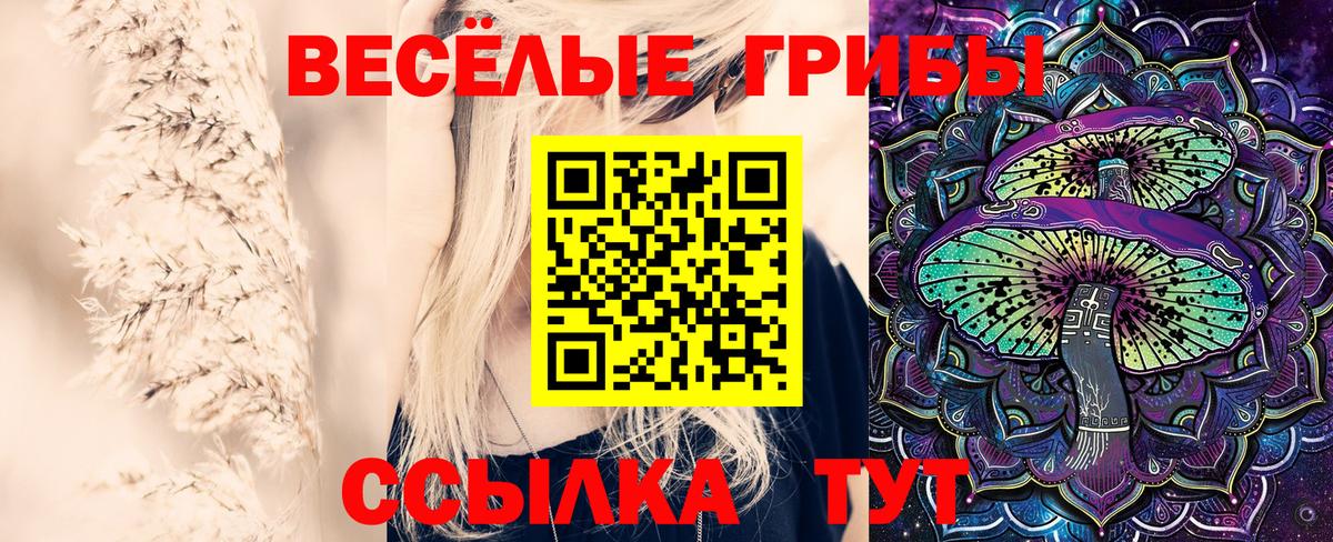 Красноуфимск  Псилоцибиновые грибы GOLDEN TEACHER  Вход с VPN 