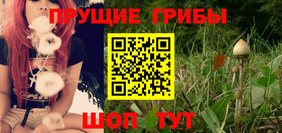 Псилоцибиновые грибы мухоморы Красноуфимск